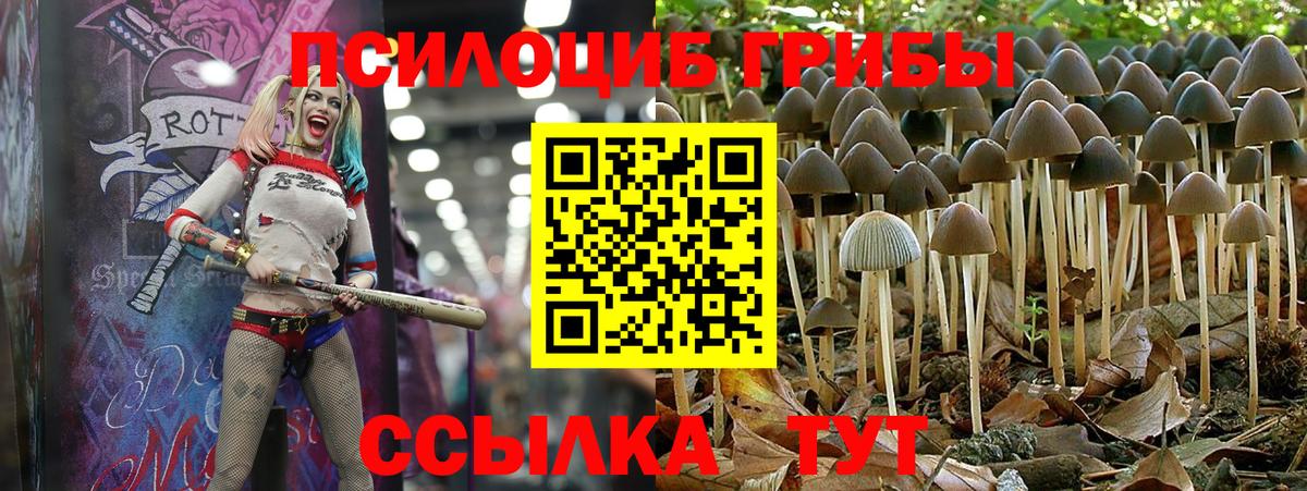 Псилоцибиновые грибы GOLDEN TEACHER  Вход с VPN  Галлюциногенные грибы Psilocybe  Нижний Новгород 