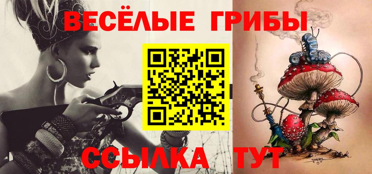 Псилоцибиновые грибы Psilocybine cubensis Нижний Новгород